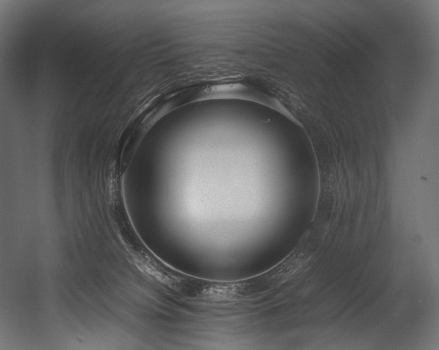 X0000054390084200507291155