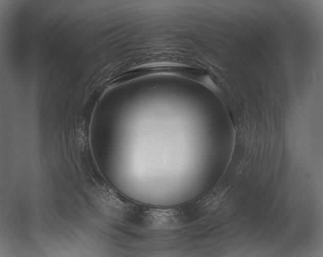 X0000054390085200507291155