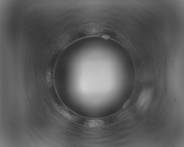 X0000054390087200507291155