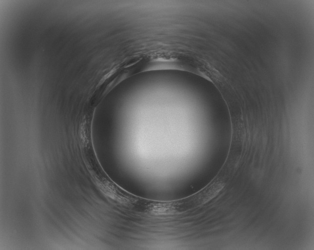 X0000054390088200507291155