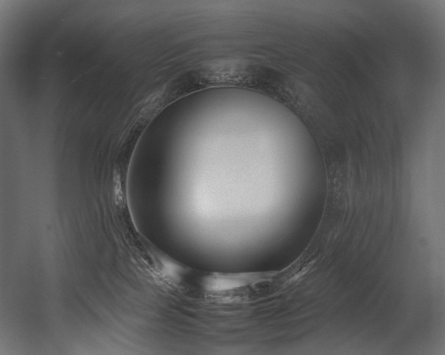 X0000054390089200507291155