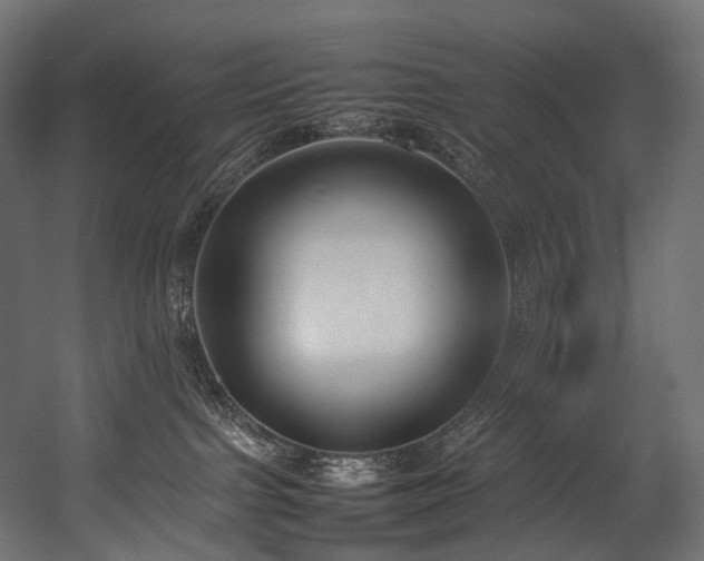 X0000054390091200507291155