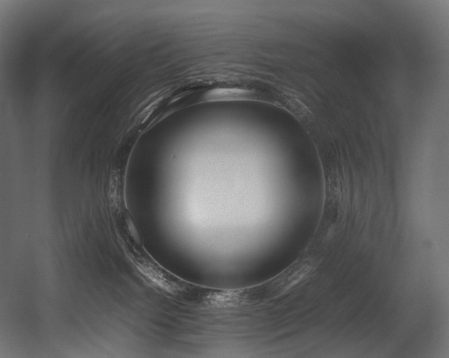 X0000054390092200507291155
