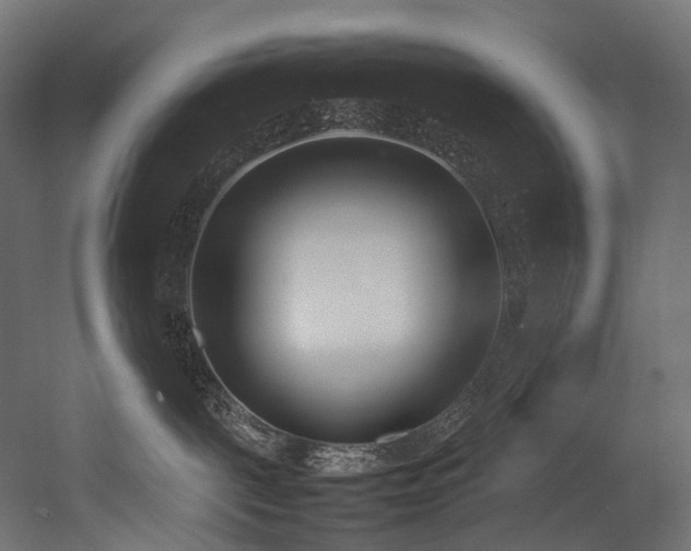 X0000054390093200507291155