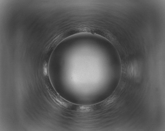 X0000054390095200507291155