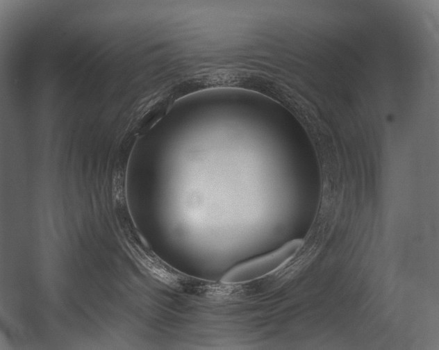X0000054390096200507291155