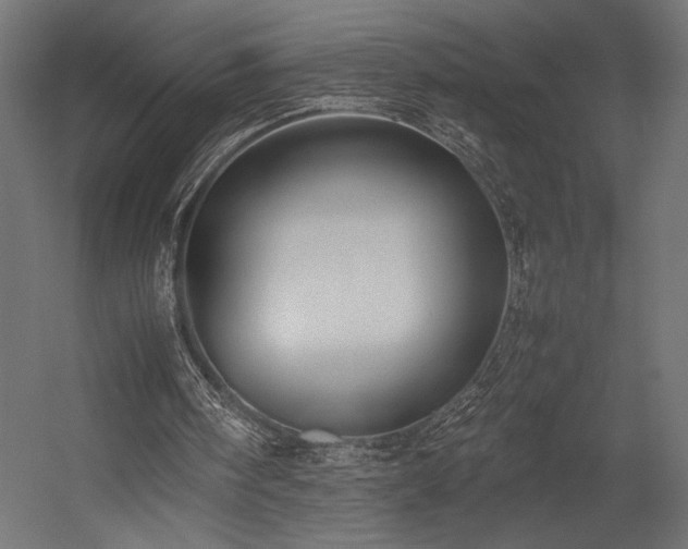 X0000054390098200507291154