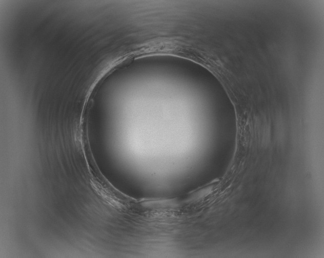 X0000054390100200507291154