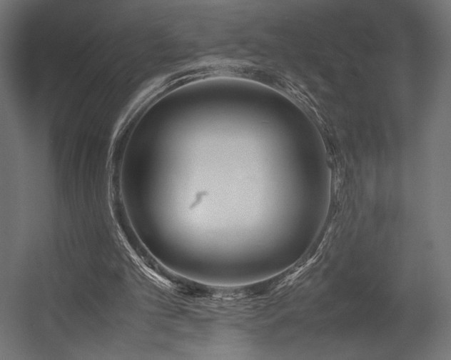 X0000054390101200507291154
