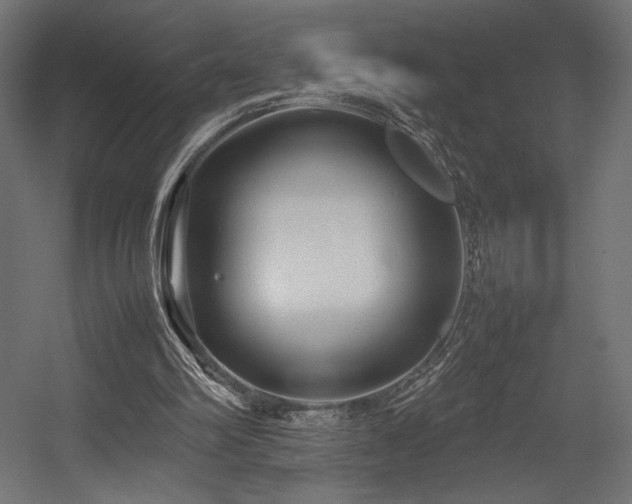 X0000054390102200507291154
