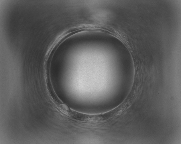 X0000054390103200507291154