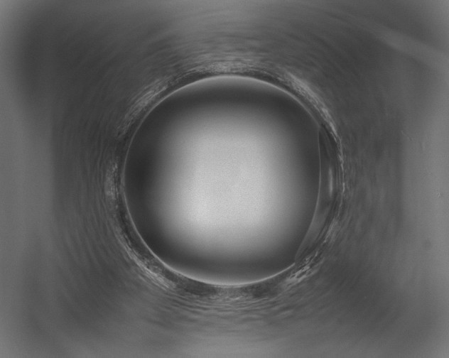 X0000054390105200507291154