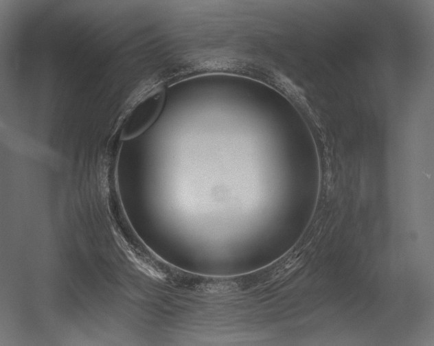 X0000054390106200507291154