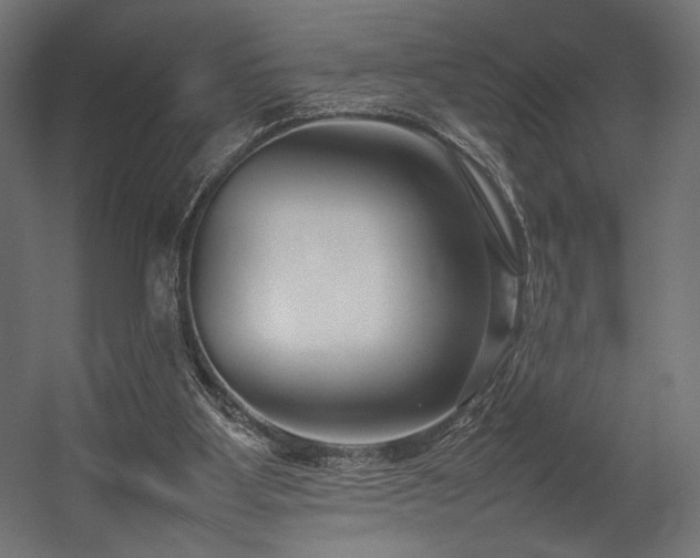 X0000054390107200507291154
