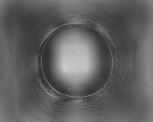 X0000054390108200507291154