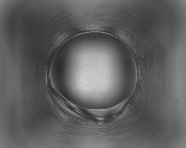 X0000054390109200507291154