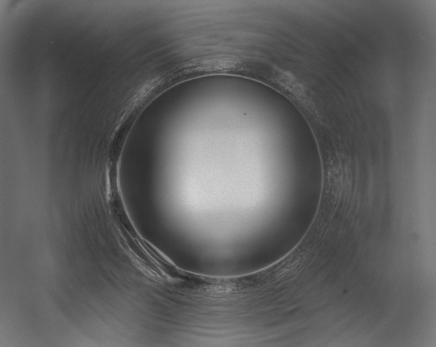 X0000054390110200507291154