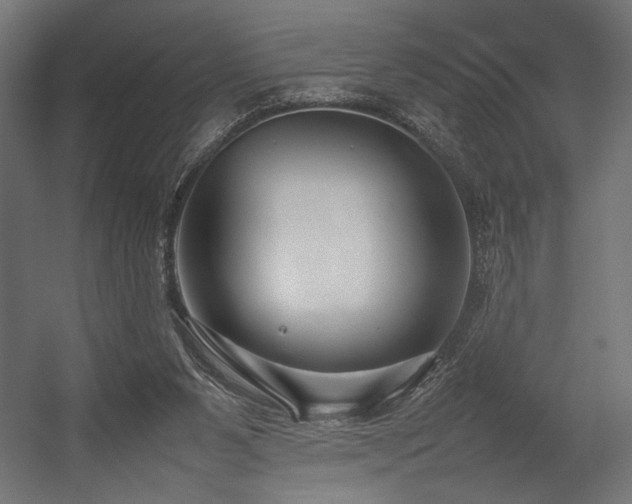 X0000054390111200507291154