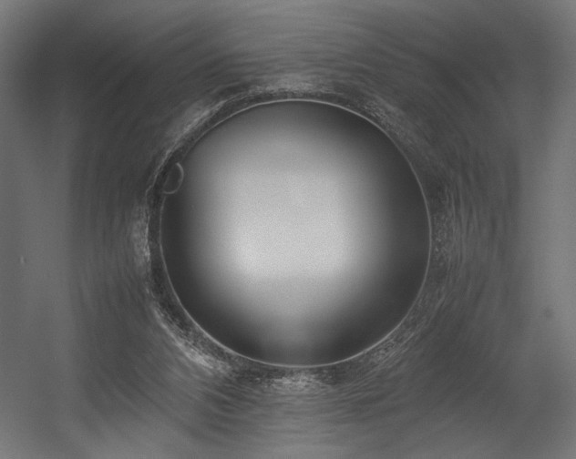 X0000054390112200507291154