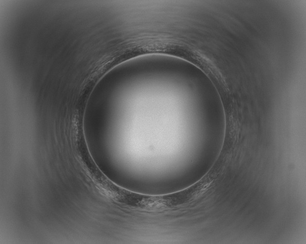 X0000054390113200507291154