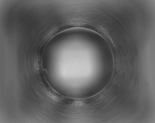 X0000054390114200507291154