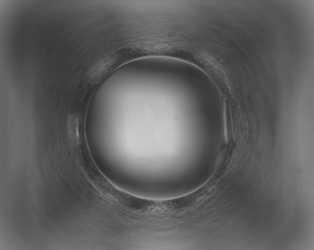 X0000054390115200507291154