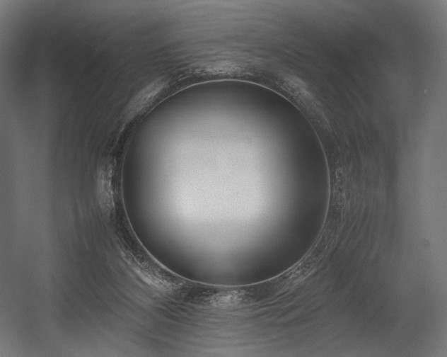 X0000054390116200507291154