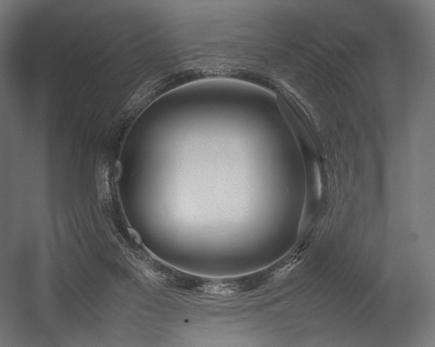 X0000054390117200507291154