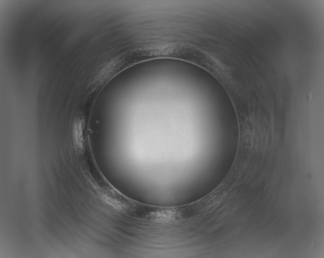 X0000054390118200507291154