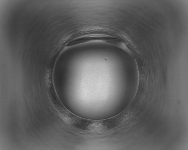 X0000054390119200507291154