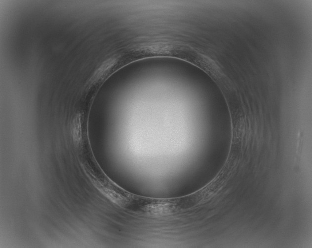 X0000054390120200507291154