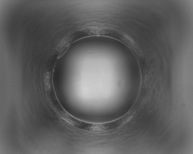 X0000054390121200507291154