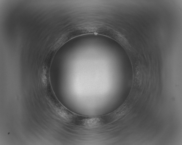X0000054390122200507291154