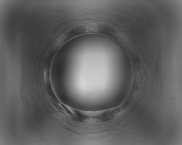 X0000054390123200507291154