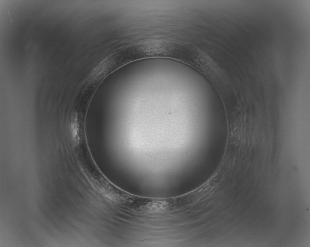 X0000054390124200507291154
