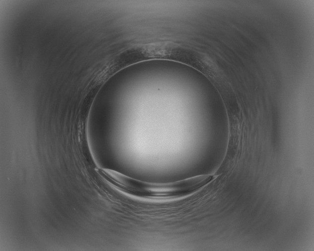 X0000054390125200507291154