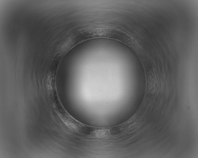 X0000054390126200507291154