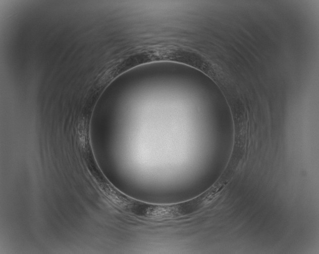 X0000054390129200507291154