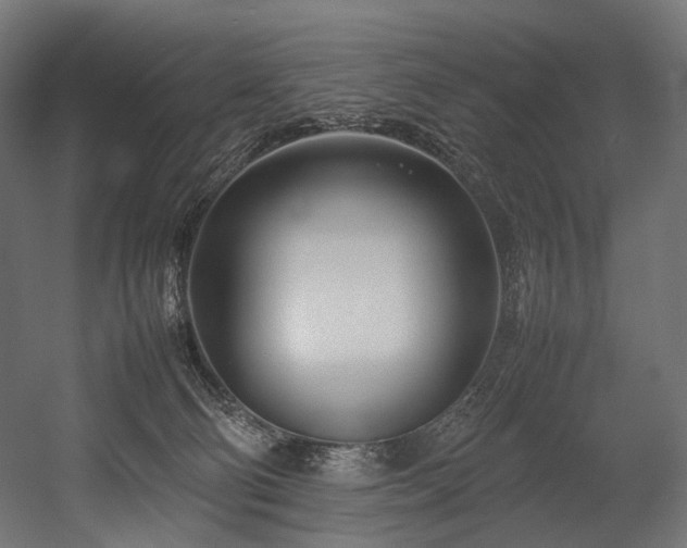 X0000054390130200507291154