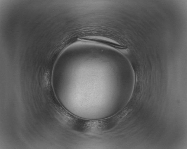X0000054390131200507291153