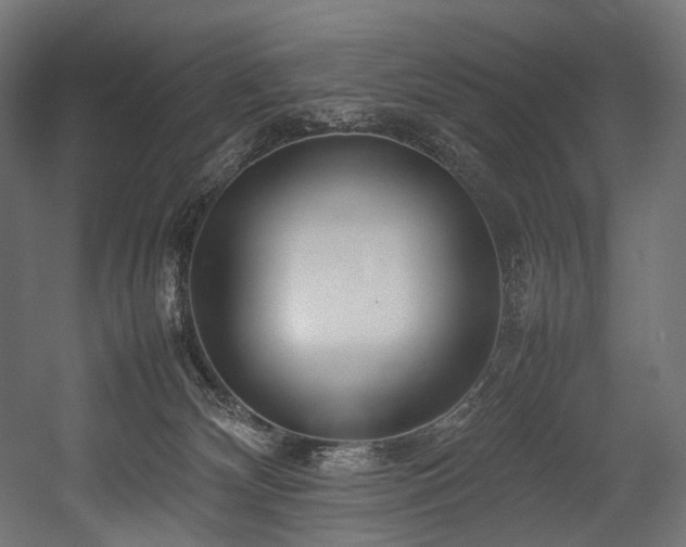 X0000054390132200507291153