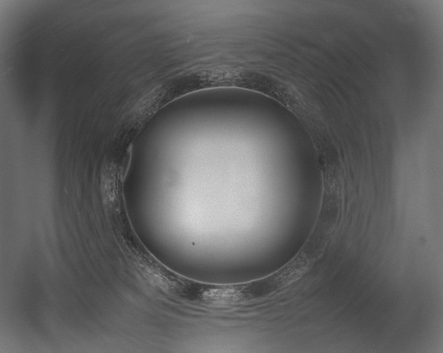 X0000054390133200507291153