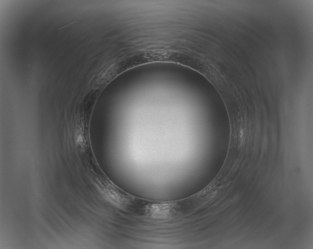 X0000054390134200507291153