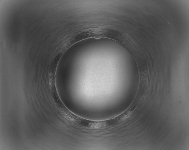 X0000054390135200507291153