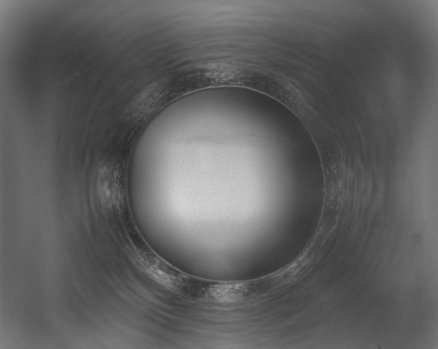 X0000054390136200507291153