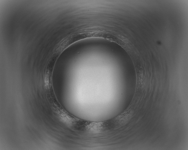 X0000054390138200507291153