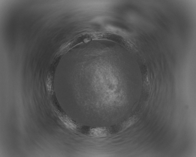 X0000054390139200507291153