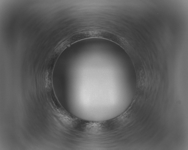 X0000054390140200507291153