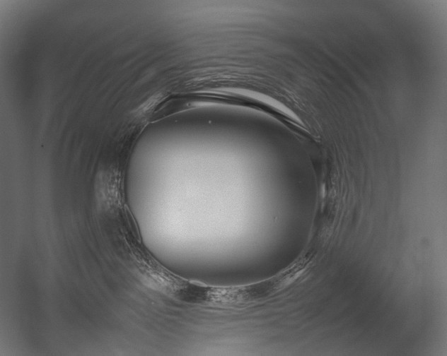 X0000054390141200507291153