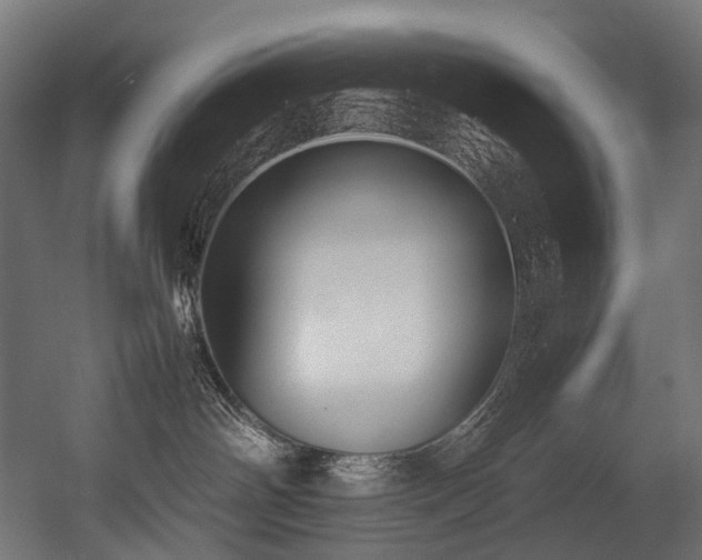 X0000054390142200507291153